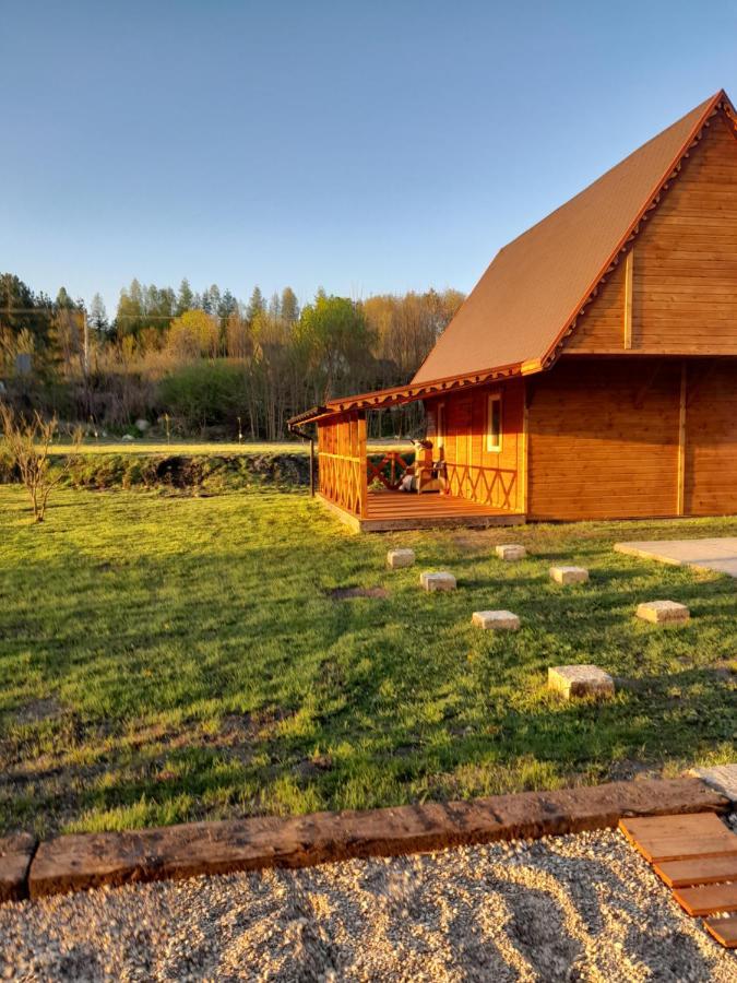 Bed and Breakfast Pensjonat Agroturystyczny Pod Modrzewiem Florczaki Zewnętrze zdjęcie
